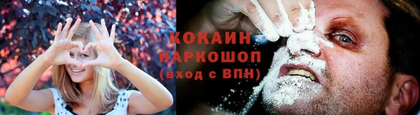 кокс Белокуриха