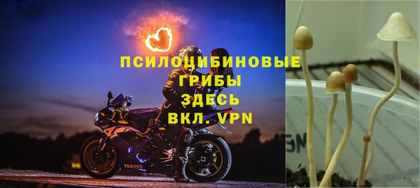 дмт Беломорск