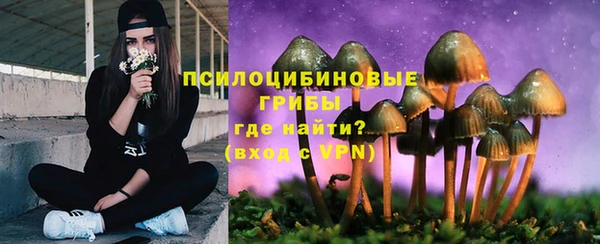 кокс Белокуриха
